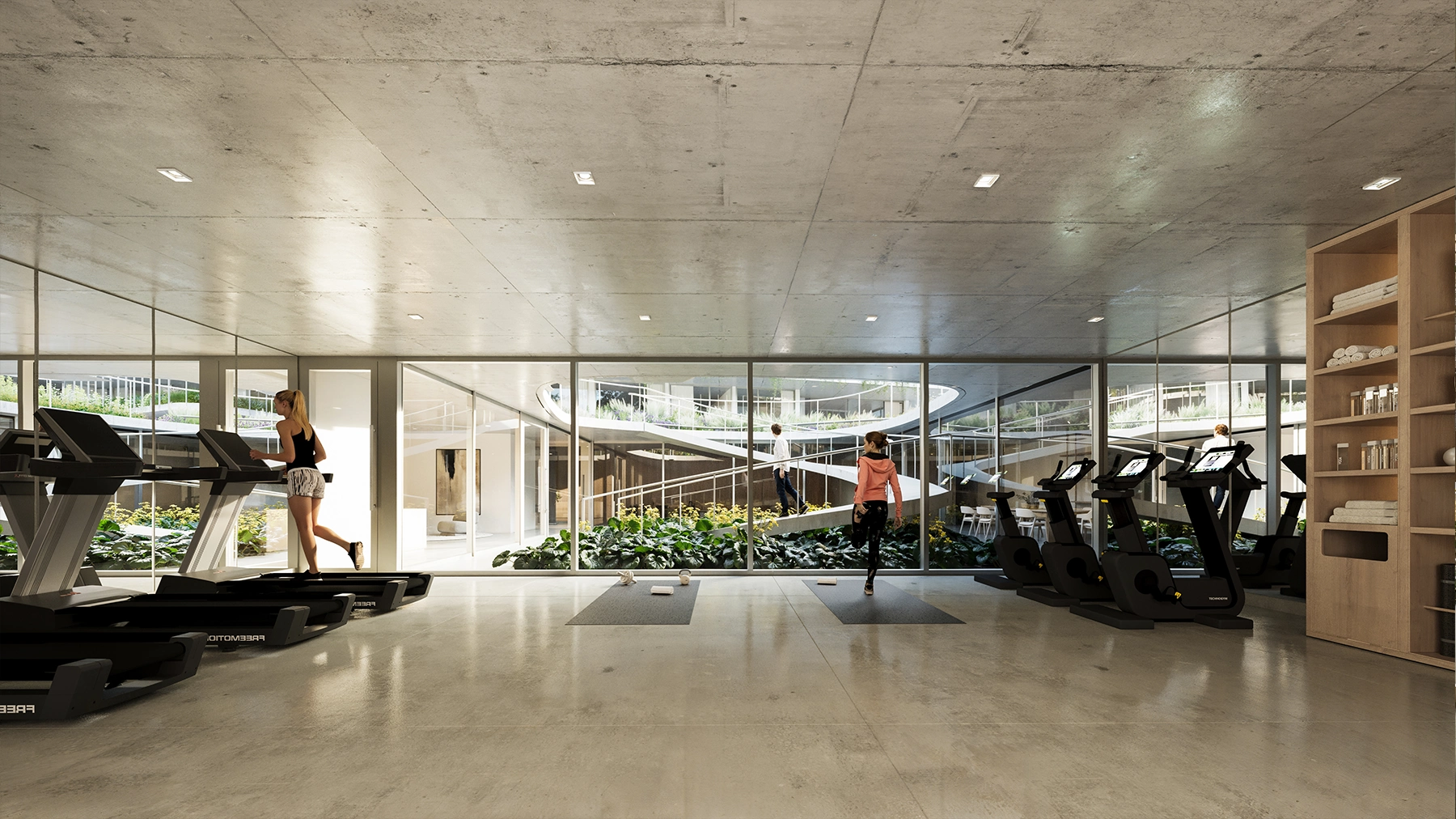 Gimnasio
